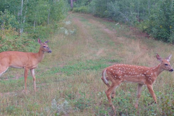 American Football Games Today